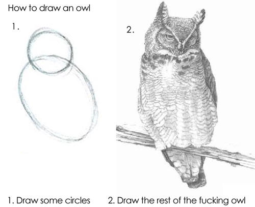 How to draw an owl 1. 2. 1. Draw some circles 2. Draw the rest of the fucking owl Owl owl bird bird of prey fauna vertebrate beak drawing