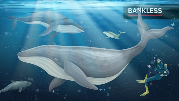 5 Tools for Crypto Whale Watching