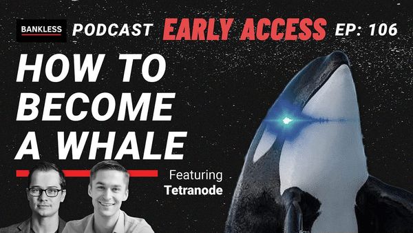 EARLY ACCESS - How to Become a Whale | Tetranode
